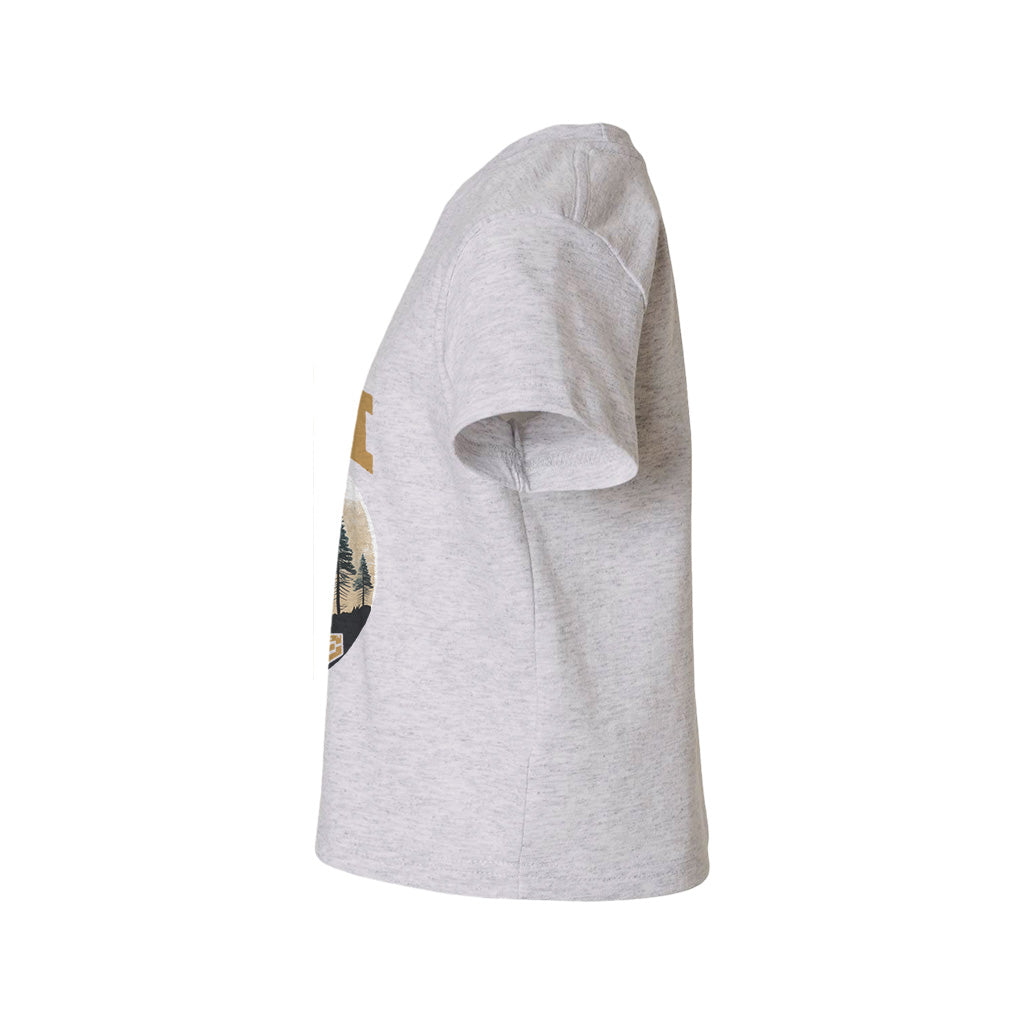#color_oxford-gray