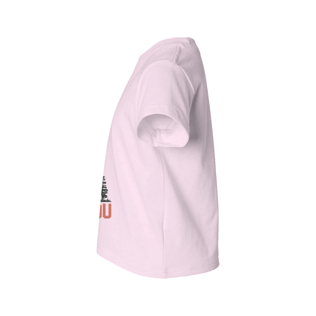 #color_soft-pink
