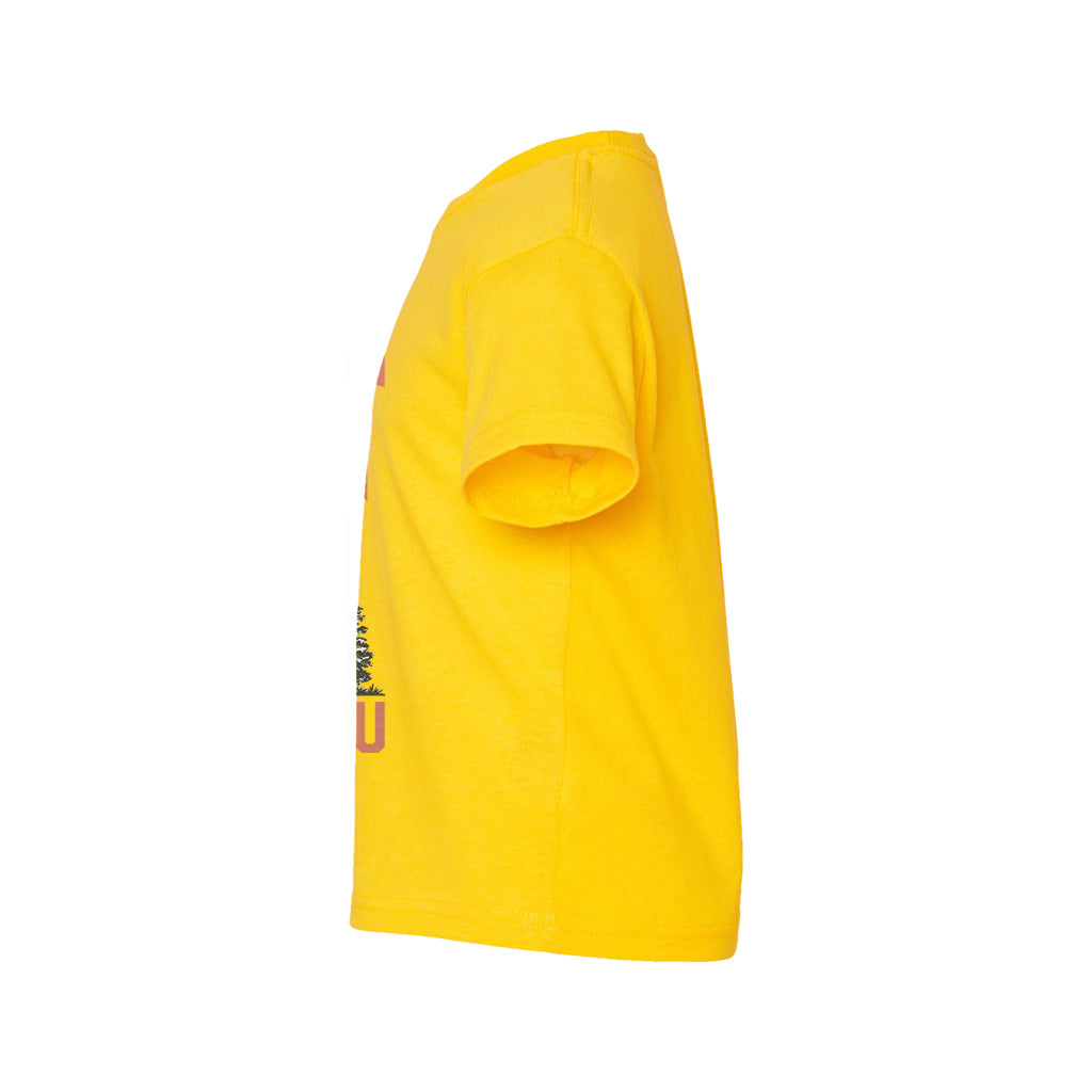 #color_yellow-zest