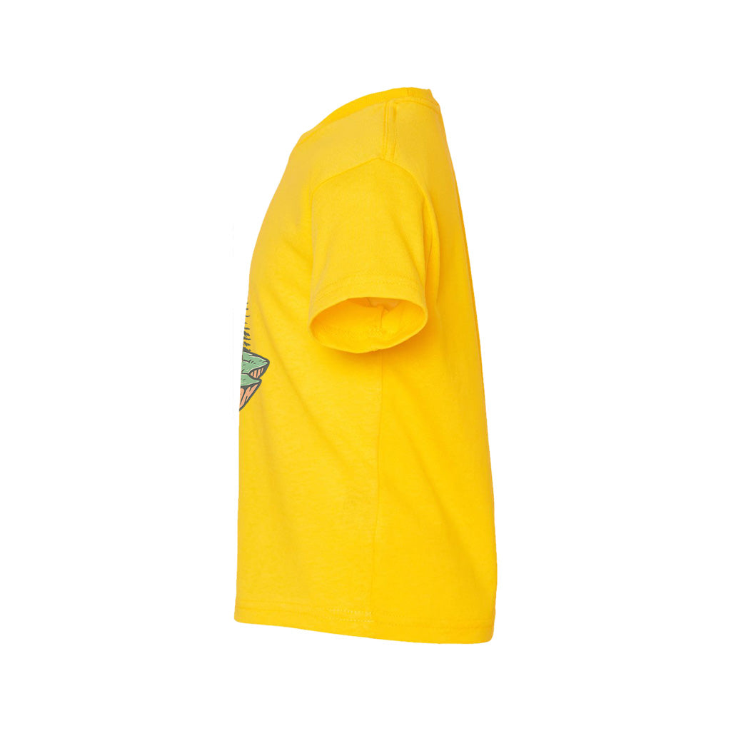 #color_yellow-zest