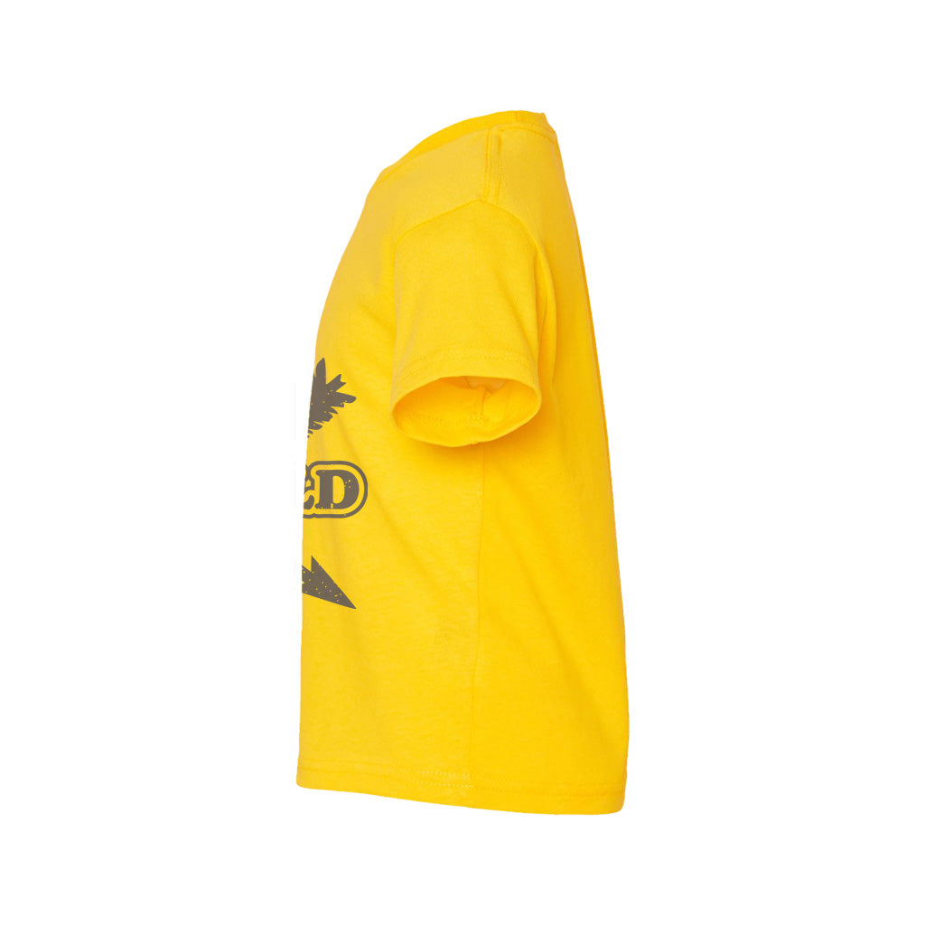 #color_yellow-zest