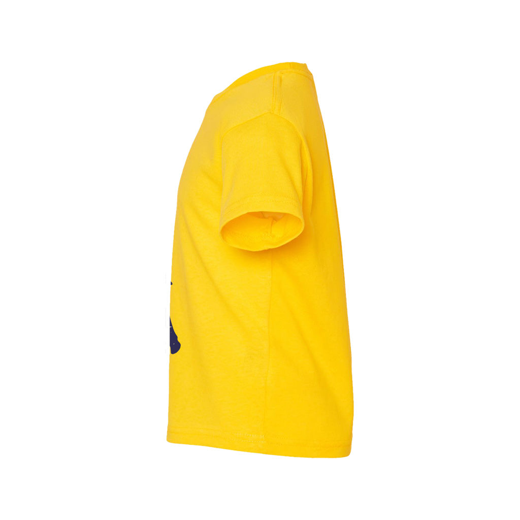 #color_yellow-zest