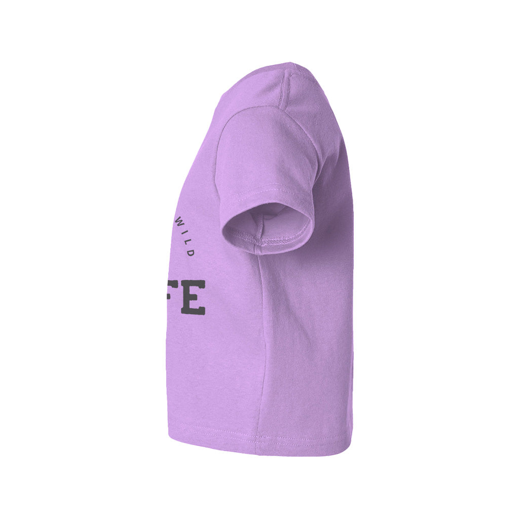 #color_lavender
