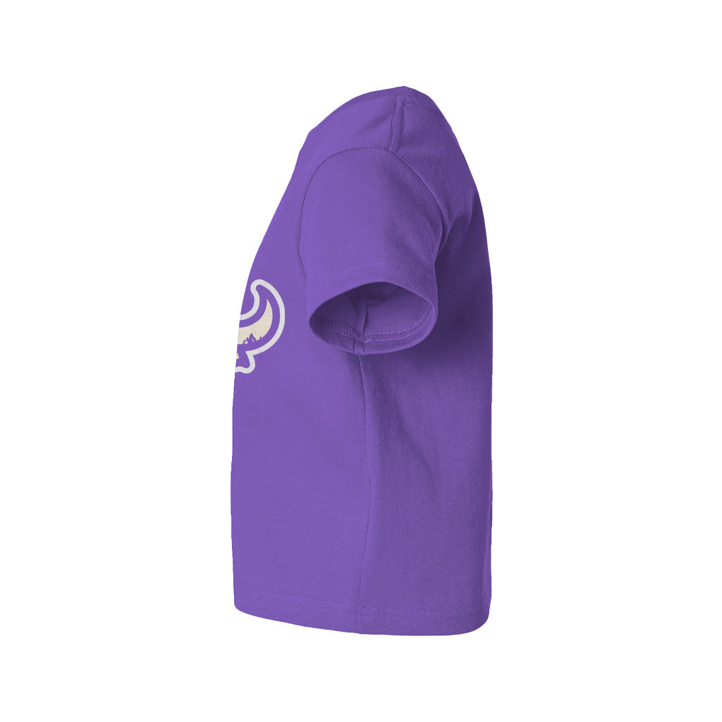 #color_purple