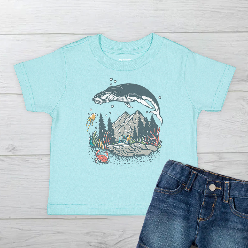 #color_chill-blue