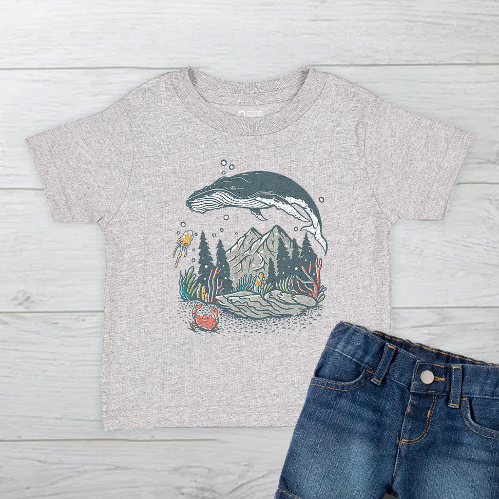#color_oxford-gray
