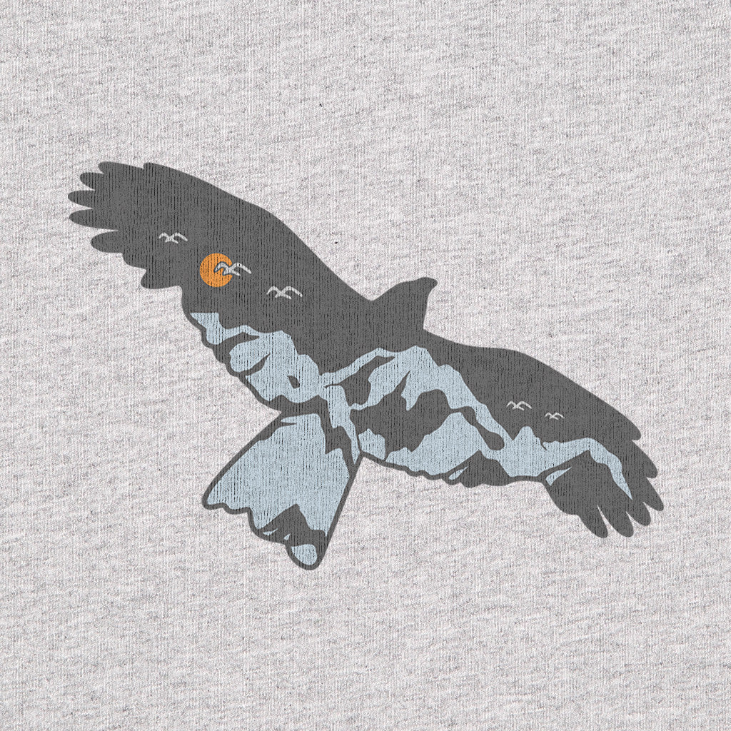 #color_oxford-gray