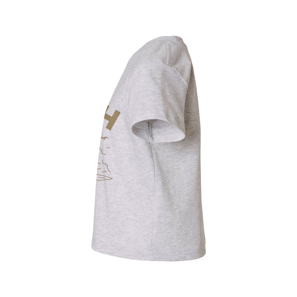#color_oxford-gray