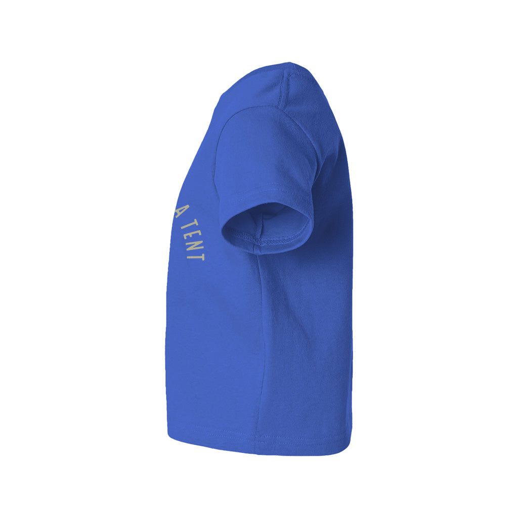 #color_royal-blue