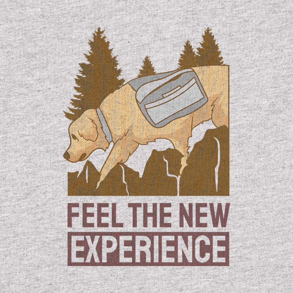 #color_oxford-gray