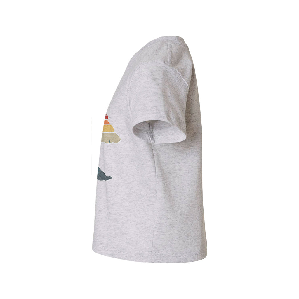 #color_oxford-gray
