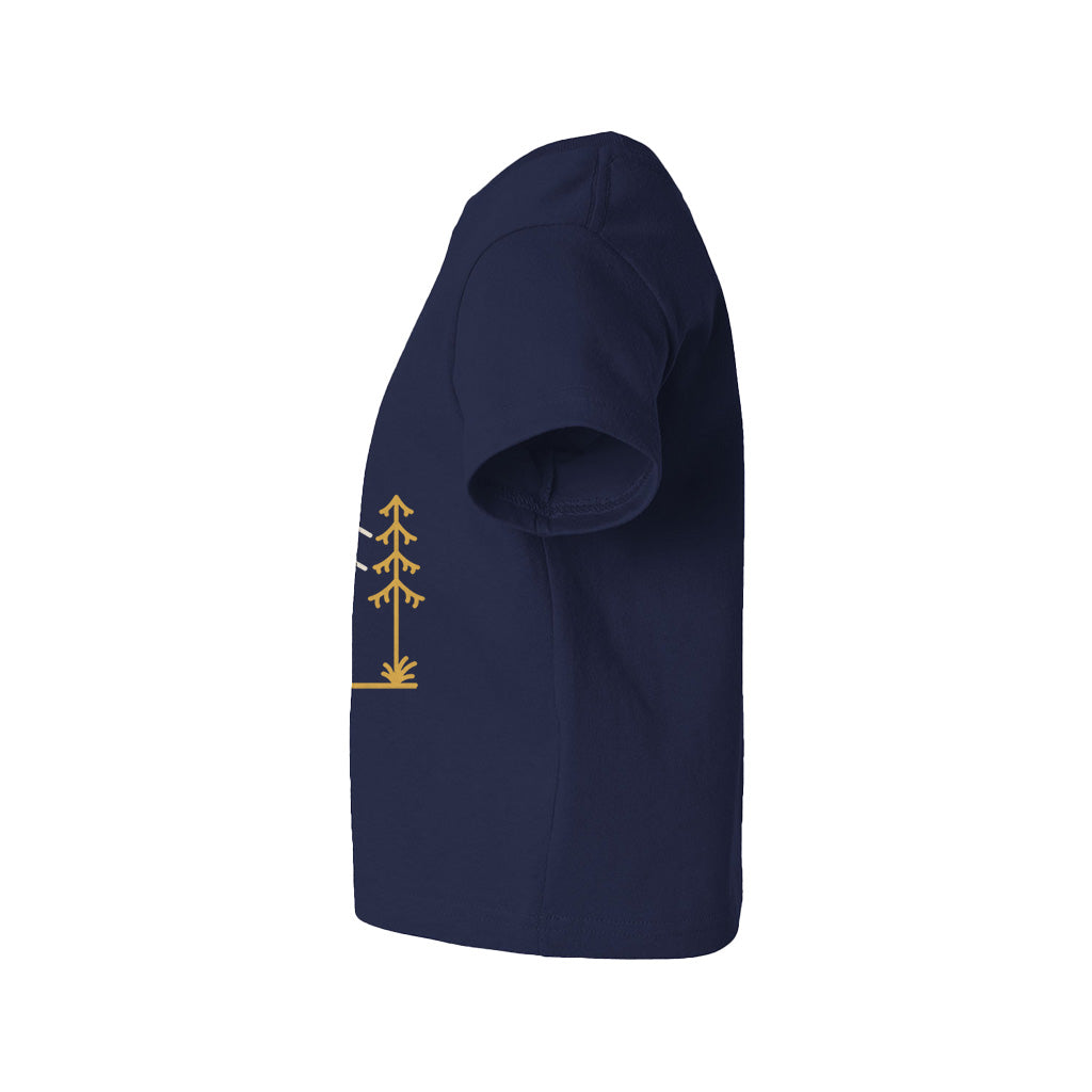 #color_navy