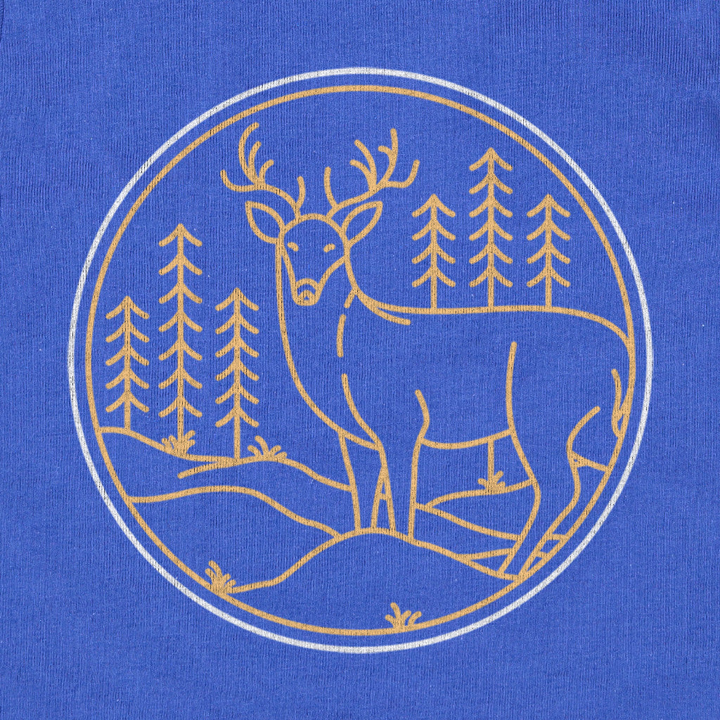 #color_royal-blue