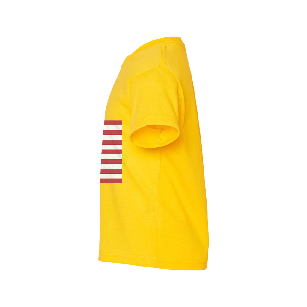 #color_yellow-zest