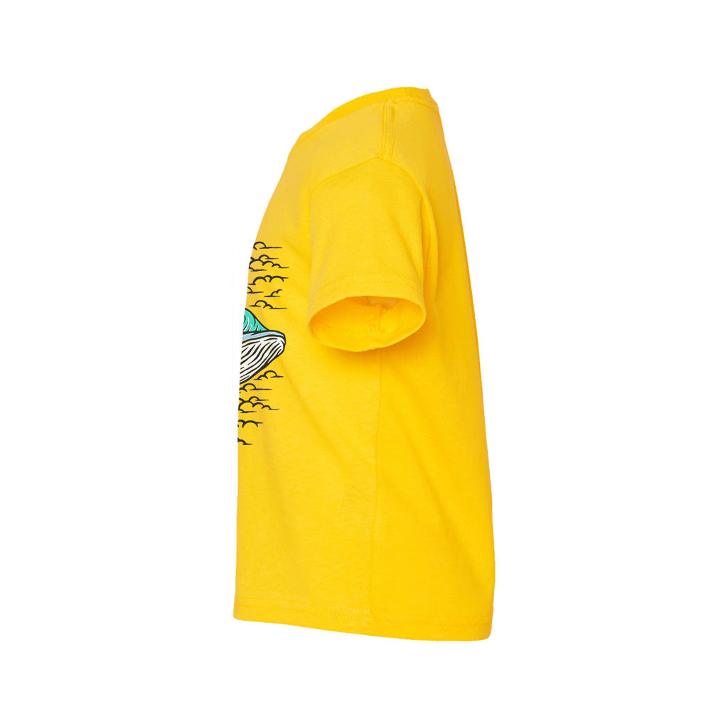 #color_yellow-zest