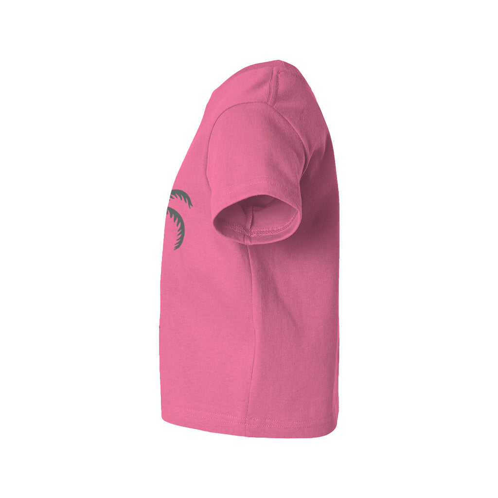 #color_hot-pink