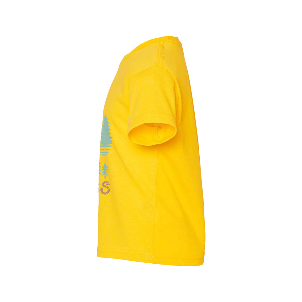 #color_yellow-zest