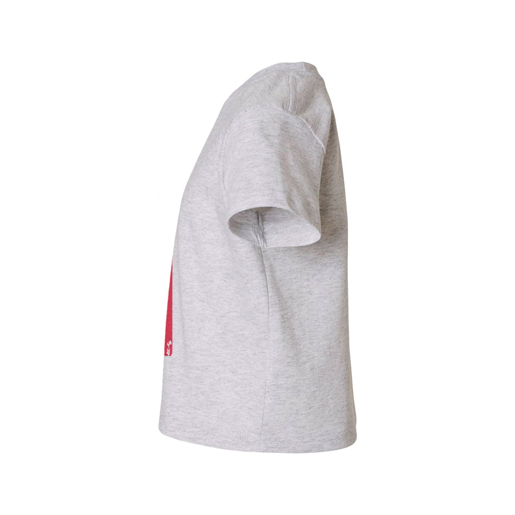 #color_oxford-gray