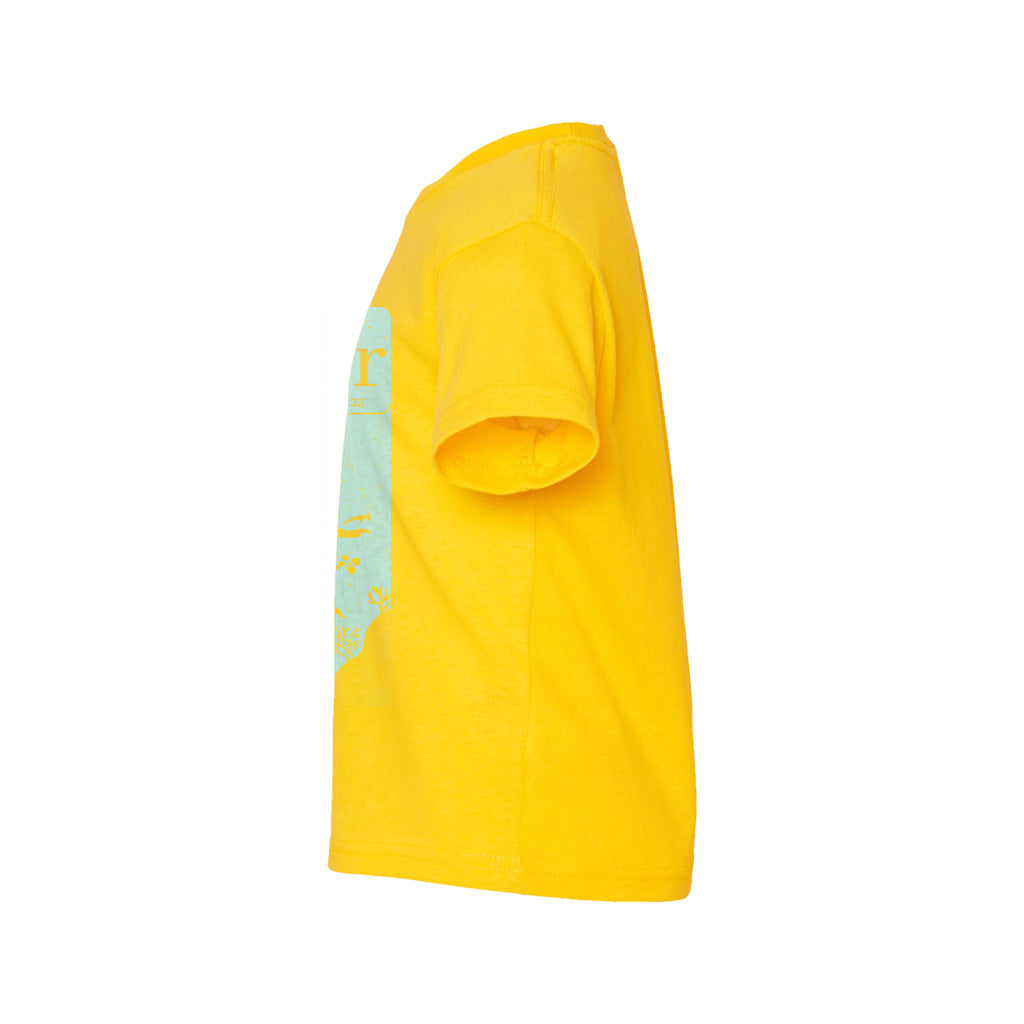 #color_yellow-zest