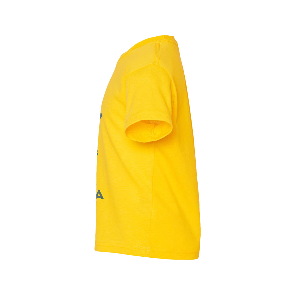 #color_yellow-zest