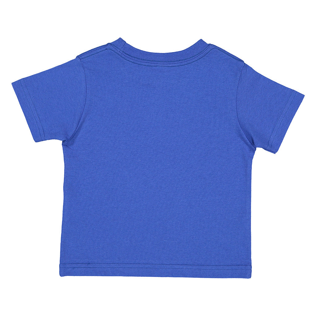 #color_royal-blue